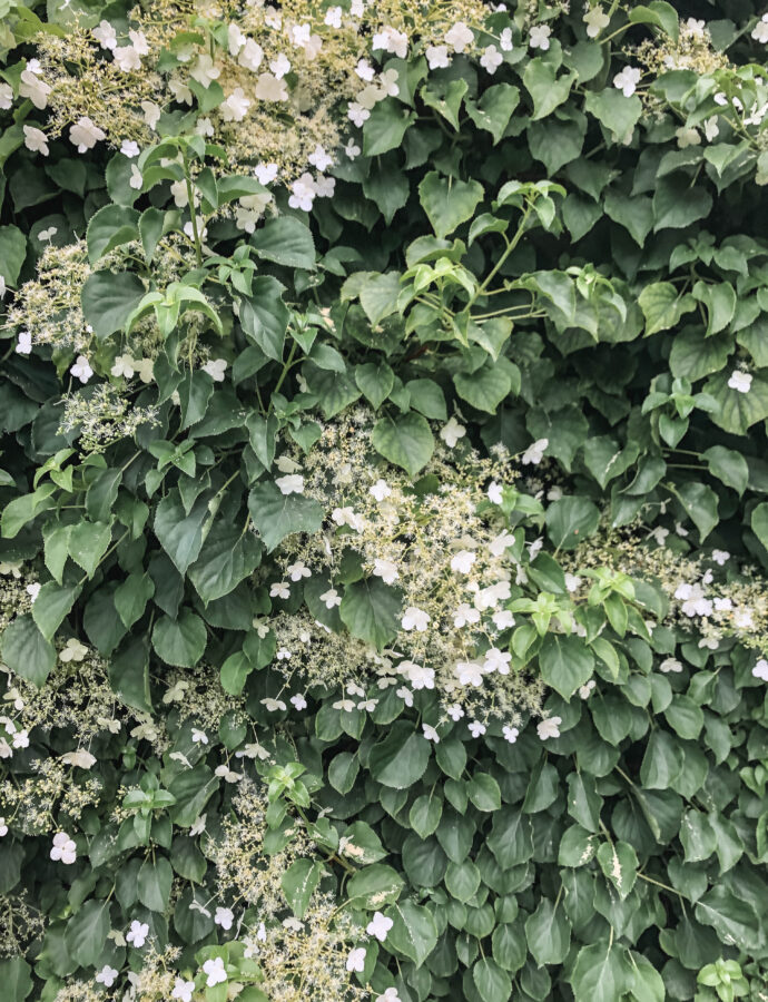 Sommerferie uden forventninger